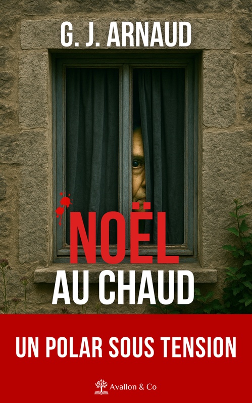 Couverture ebook de Noël au chaud, de G. J. Arnaud