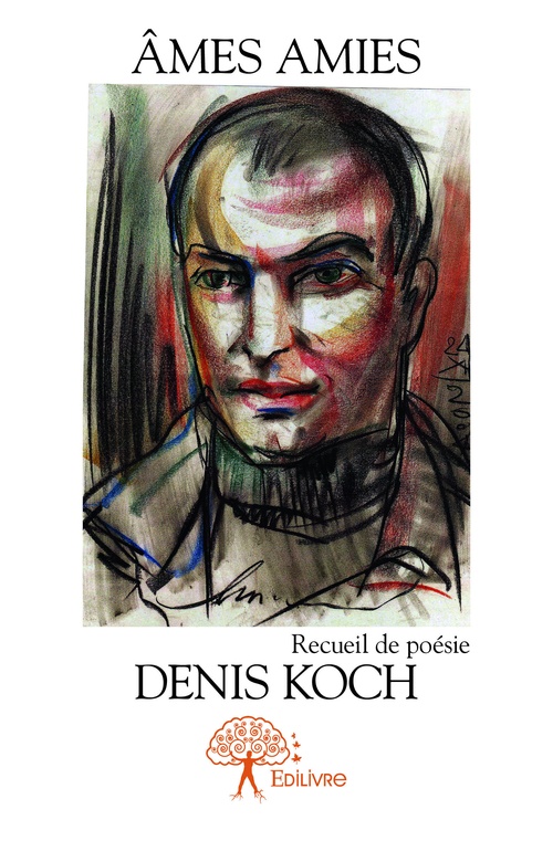Couverture ebook de Âmes amies, de Denis Koch