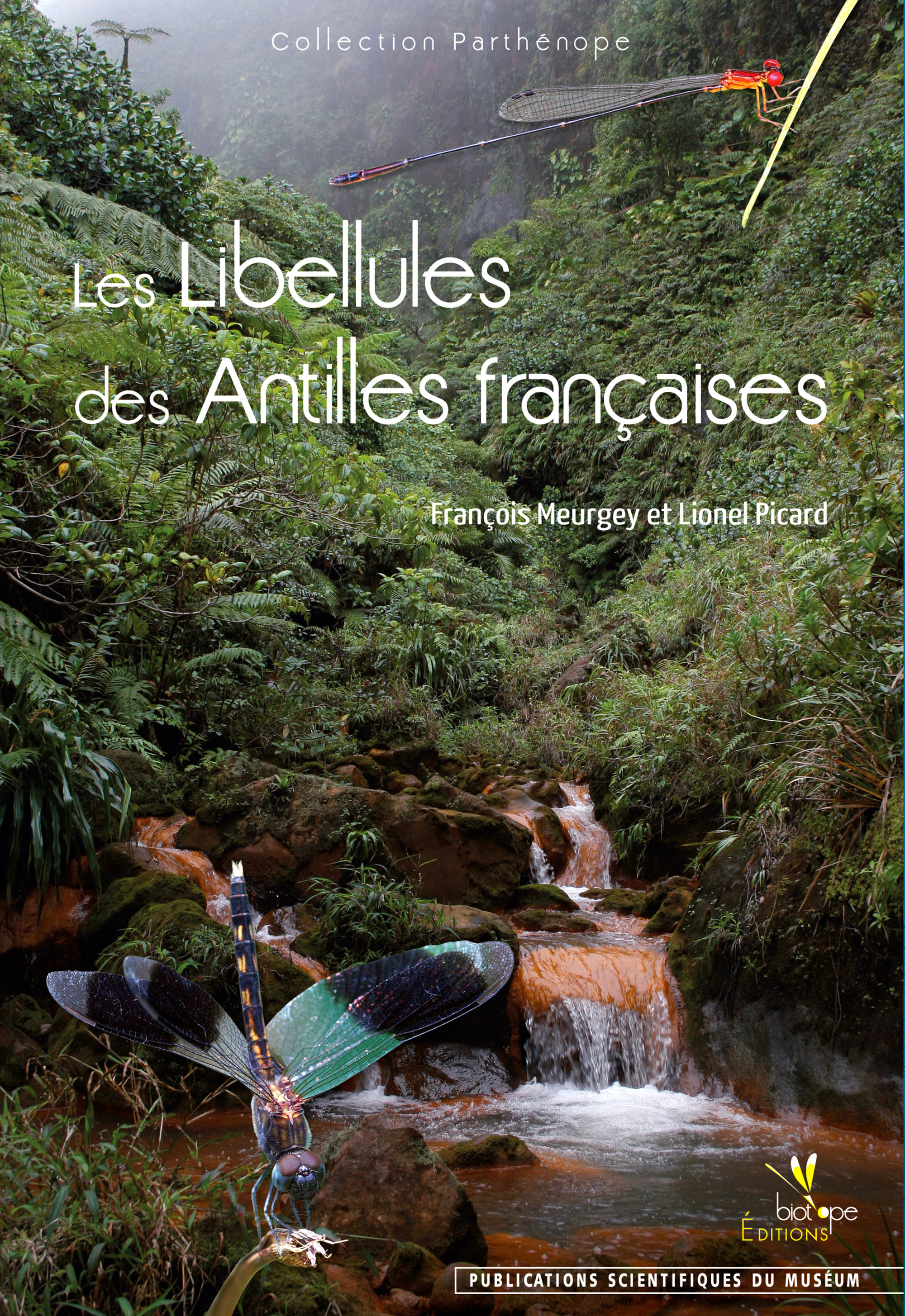 Couverture ebook de Les Libellules des Antilles françaises, de Picard Meurgey