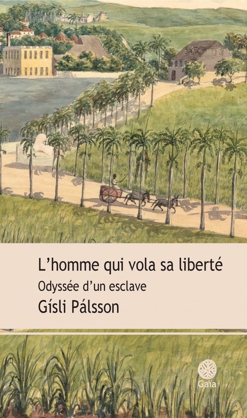 Couverture ebook de L'homme qui vola sa liberté, de Gisli Palsson