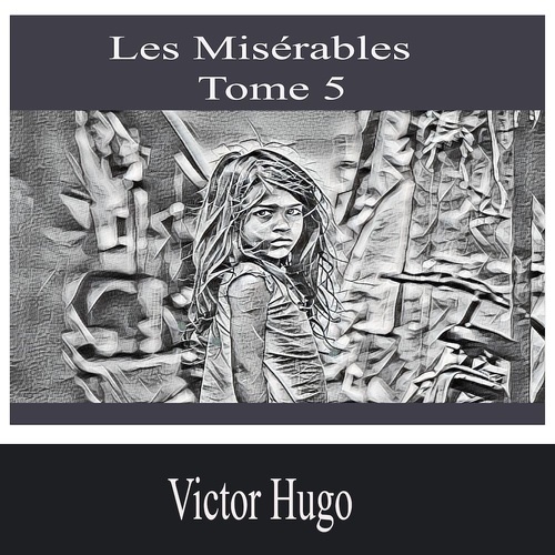 audiobook cover of Les Misérables- Tome 5, by Victor Hugo