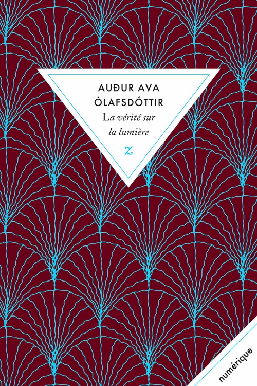 Couverture ebook de La vérité sur la lumière, de Audur Ava Olafsdóttir