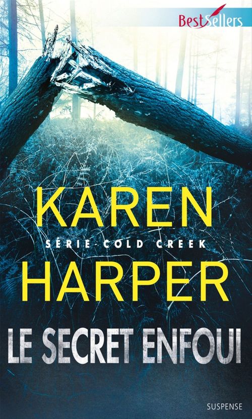 ebook cover of Le secret enfoui, by Karen Harper