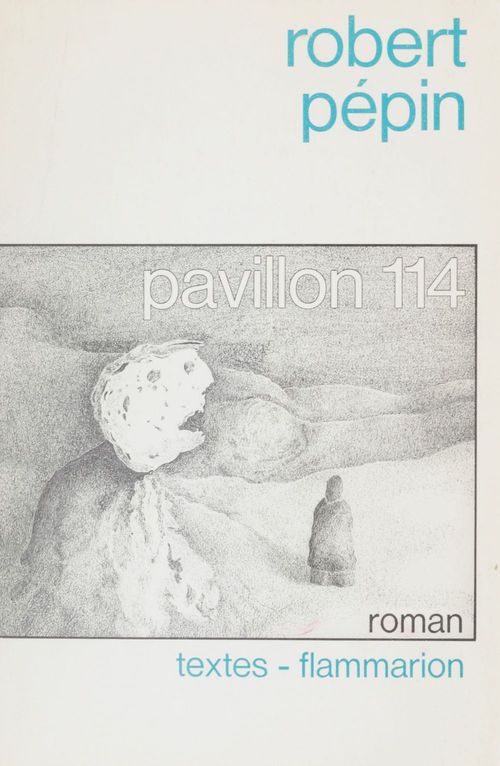 Couverture ebook de Pavillon 114, de Robert Pépin