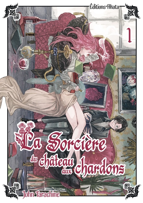 Couverture ebook de La sorciere du chateau aux chardons - Tome 1, de John Tarachine