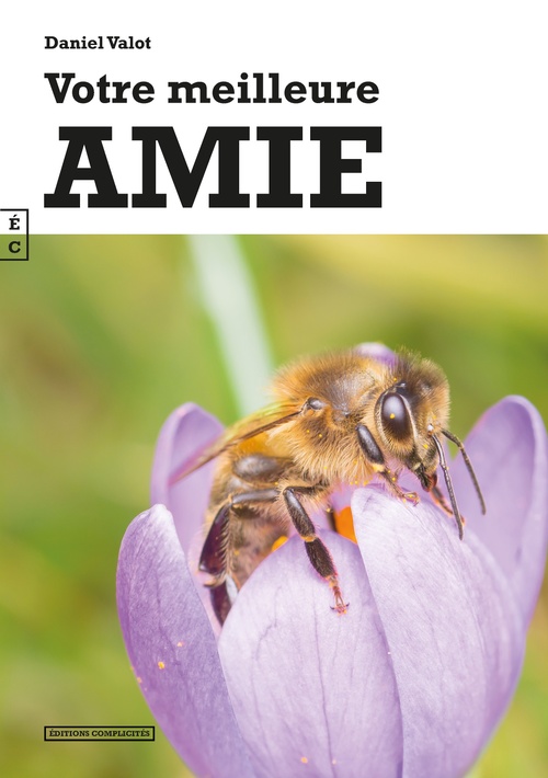 Couverture ebook de Votre meilleure amie, de Daniel Valot
