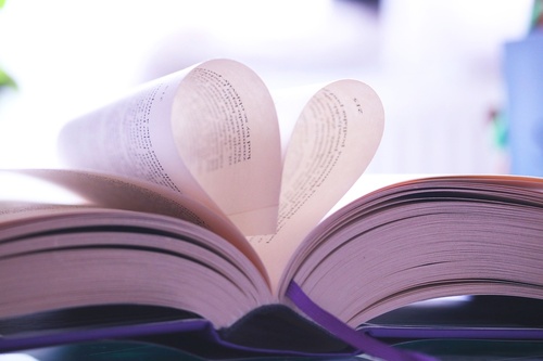 Couverture ebook de Amis mots, de Ann Sy