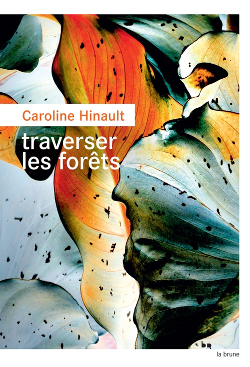 Couverture ebook de Traverser les forêts, de Caroline Hinault
