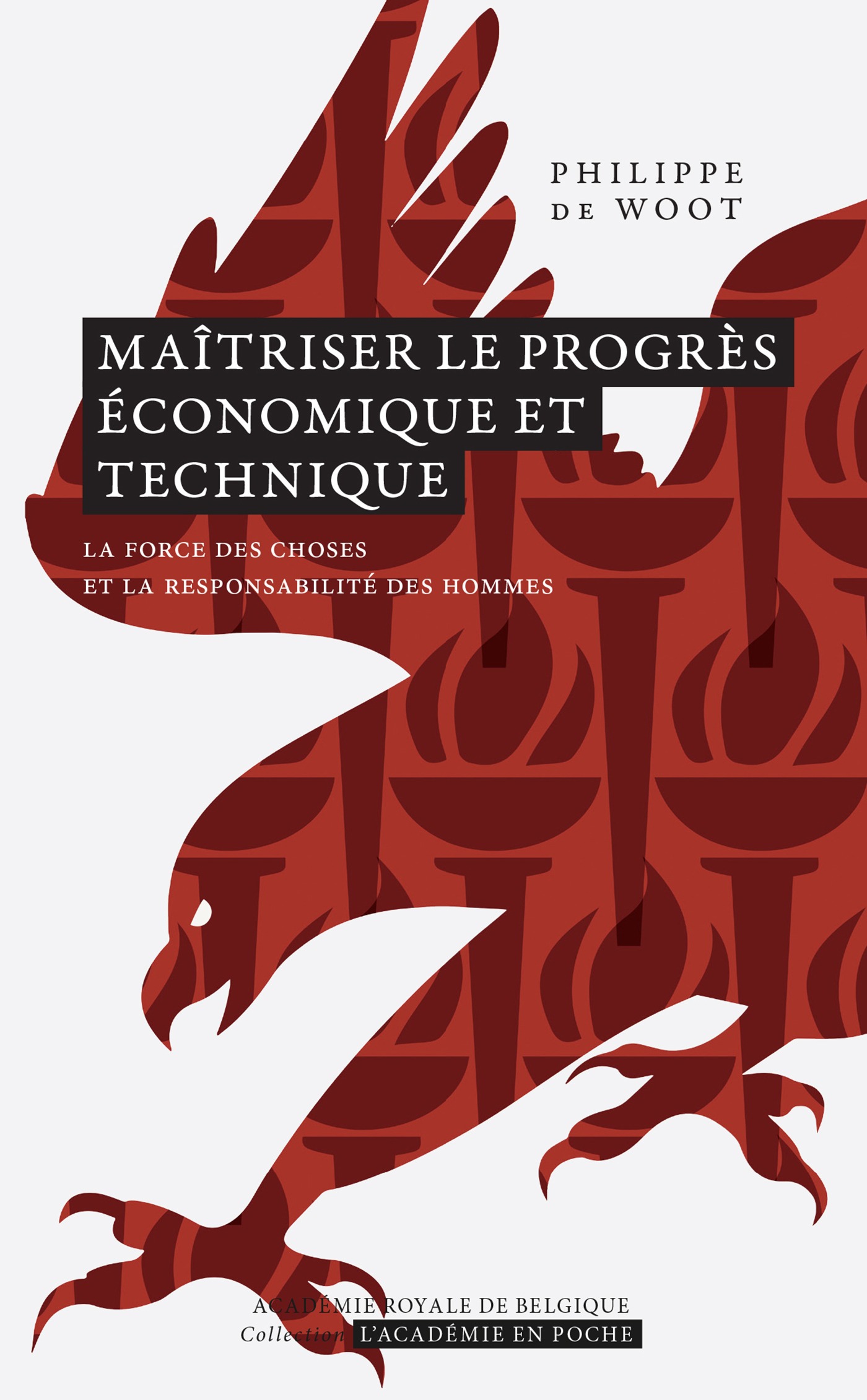 Couverture ebook de Maîtriser le progrès économique et technique, de Philippe de Woot