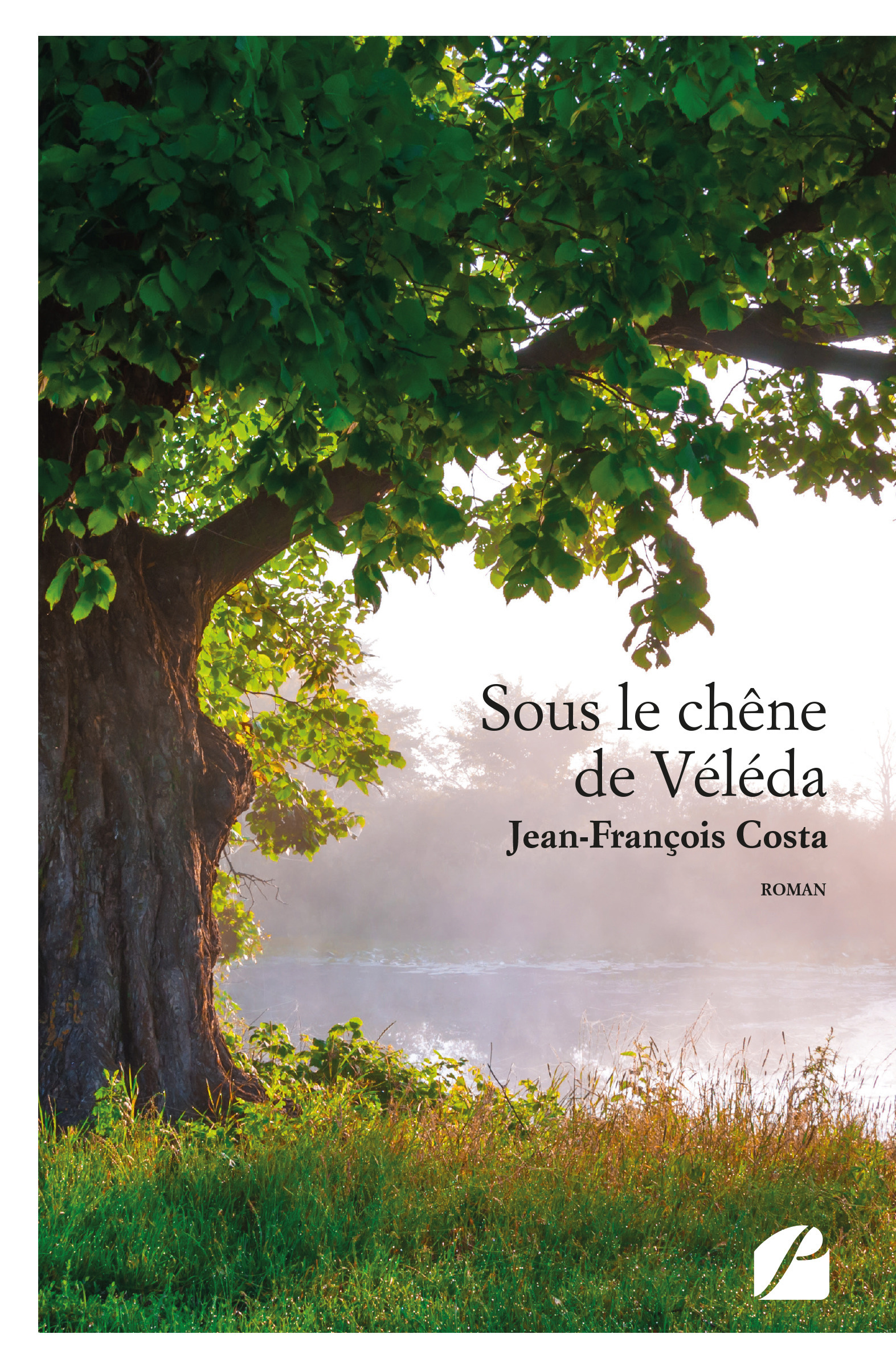ebook cover of Sous le chêne de Véléda, by Jean-François Costa