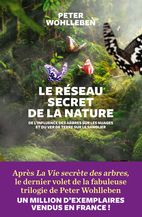 ebook cover of Le Réseau secret de la nature, by Peter Wohlleben