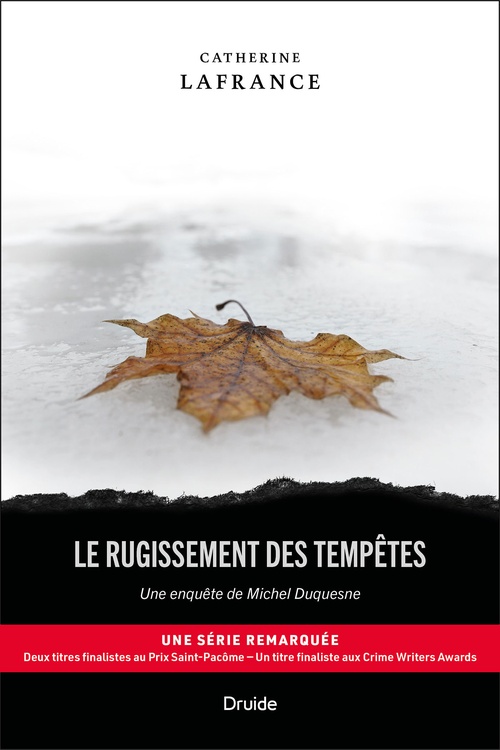 ebook cover of Le rugissement des tempêtes, by Catherine Lafrance