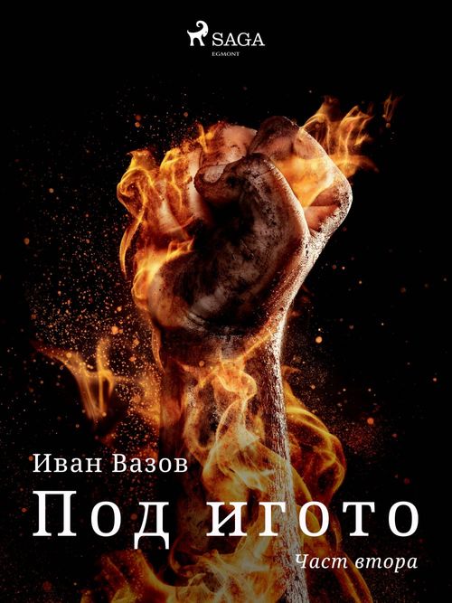 Couverture ebook de  :  , de