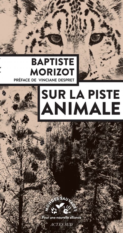 Couverture ebook de Sur la piste animale, de Baptiste Morizot
