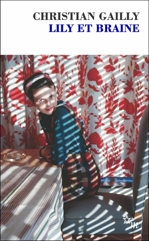 ebook cover of Lily et Braine, by Christian Gailly
