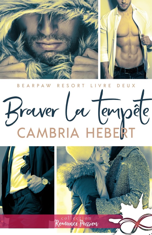 Couverture ebook de Braver la tempête, de Cambria Hebert