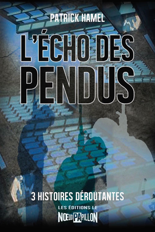 ebook cover of L'écho des pendus, by Patrick Hamel
