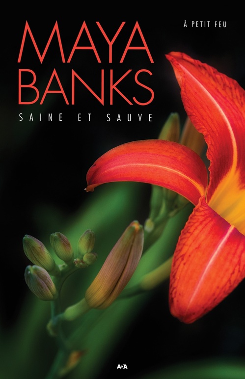 ebook cover of Saine et sauve, by Maya Banks