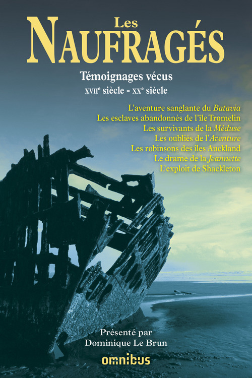 ebook cover of Les naufragés, by Dominique Le Brun