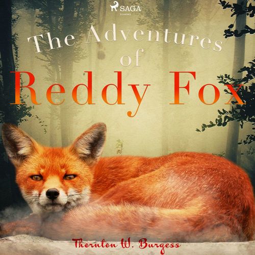 audiobook cover of The Adventures of Reddy Fox, by Thornton W. Burgess