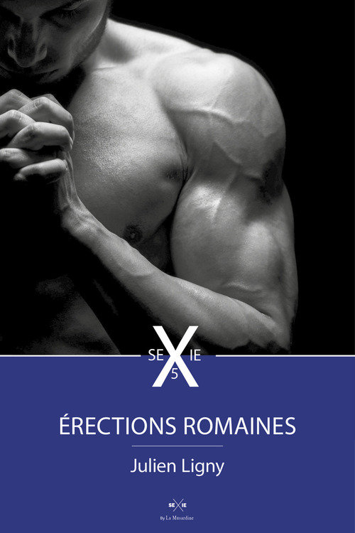 ebook cover of Erections romaines 5, by Julien Ligny
