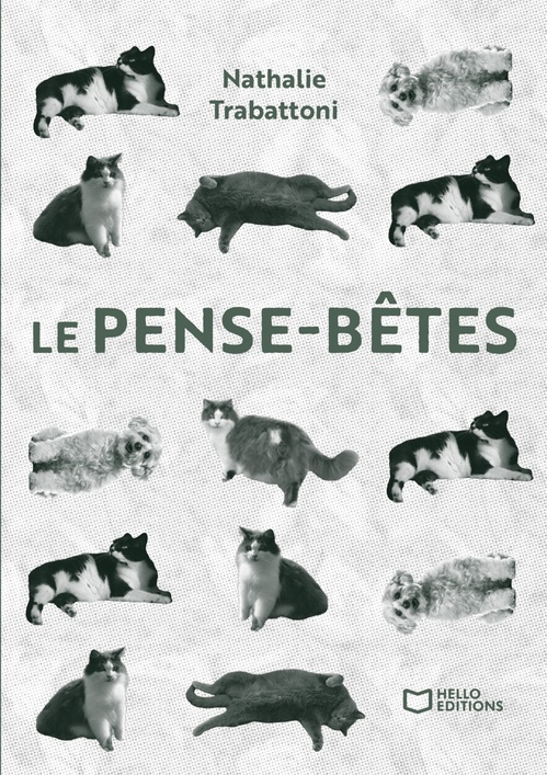 Couverture ebook de Le Pense-bêtes, de Nathalie Trabattoni