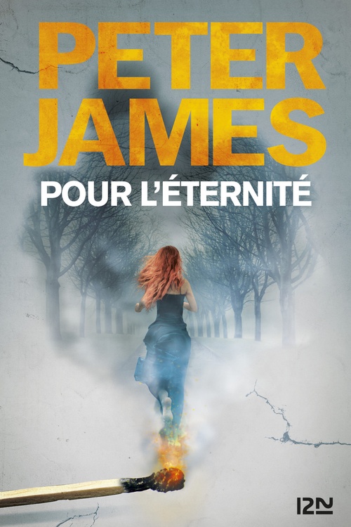ebook cover of Pour l'éternité, by Peter James
