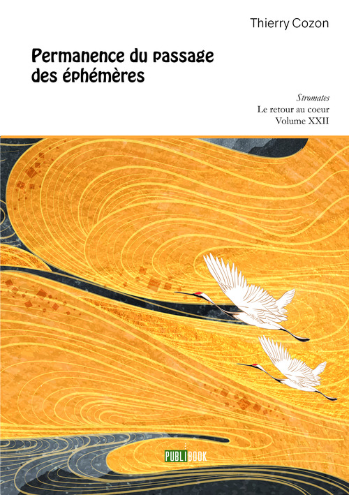 Couverture ebook de Permanence du passage des éphémères, de Thierry Cozon