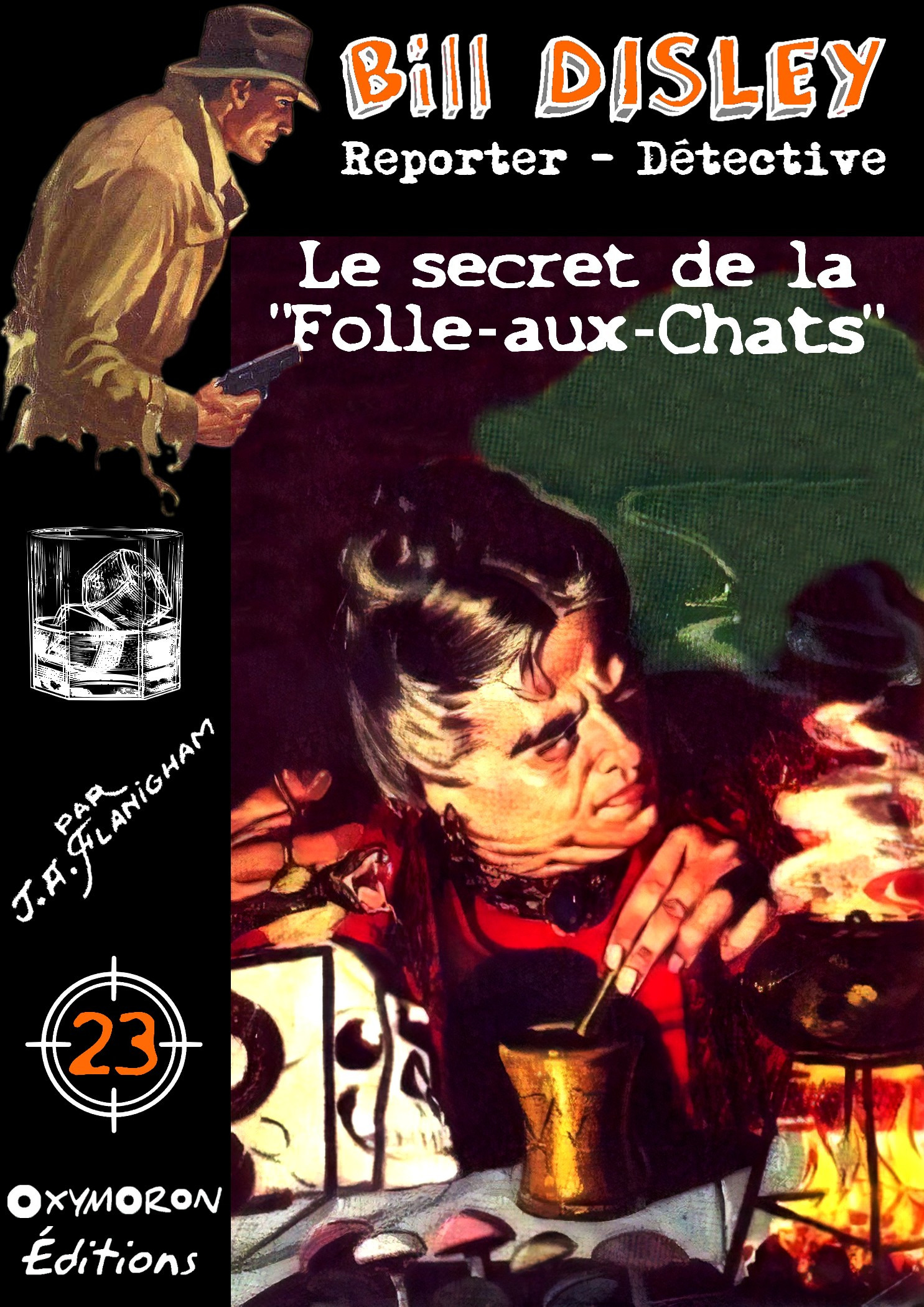 Couverture ebook de Le secret de la Folle-aux-Chats, de J.A. Flanigham