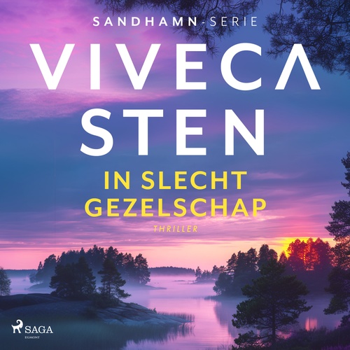 audiobook cover of In slecht gezelschap, by Viveca Sten