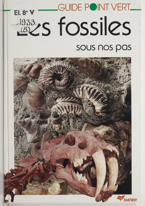 Couverture ebook de Les Fossiles sous nos pas, de Jean-Claude Fischer