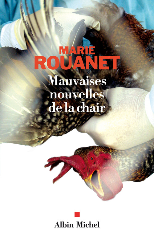 ebook cover of Mauvaises nouvelles de la chair, by Rouanet-M