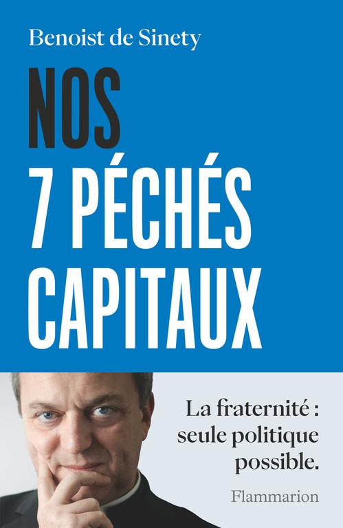 ebook cover of Nos 7 péchés capitaux, by Benoist de Sinéty