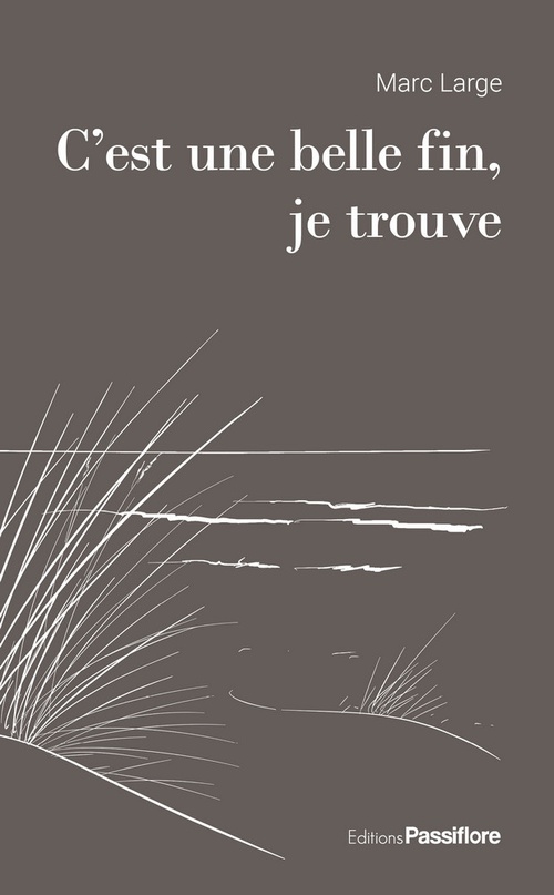 ebook cover of C'est une belle fin, je trouve, by Marc Large