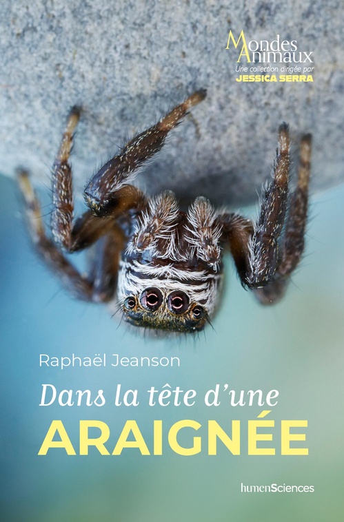 Couverture ebook de Dans la tête d'une araignée, de Raphael Jeanson