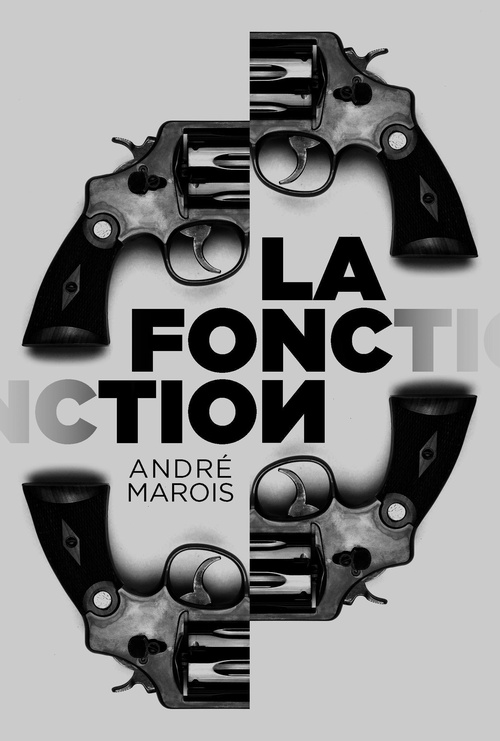 ebook cover of La fonction, by André Marois