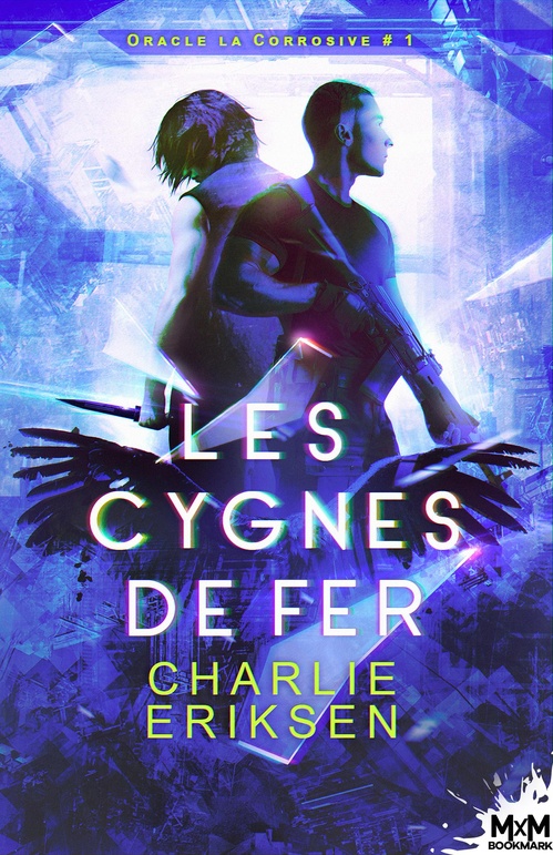 ebook cover of Les cygnes de fer, by Charlie Eriksen