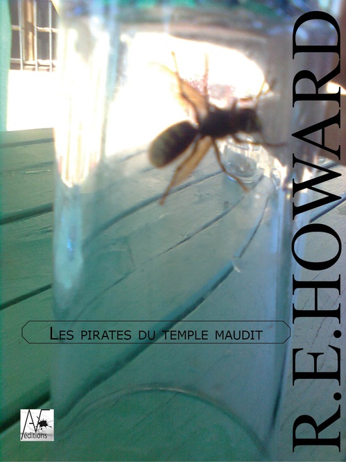 ebook cover of Les pirates du temple maudit, by R.E Howard