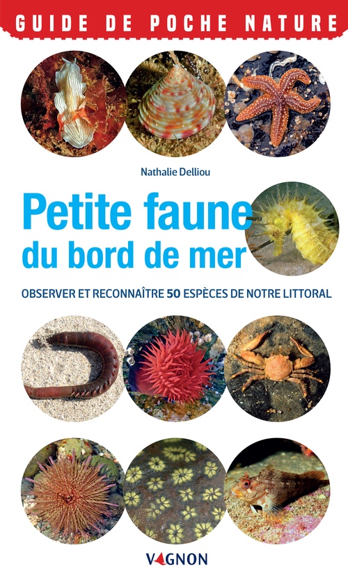 ebook cover of Petite faune du bord de mer - Observer et reconnaître 50 espèces de notre littoral, by Nathalie Delliou