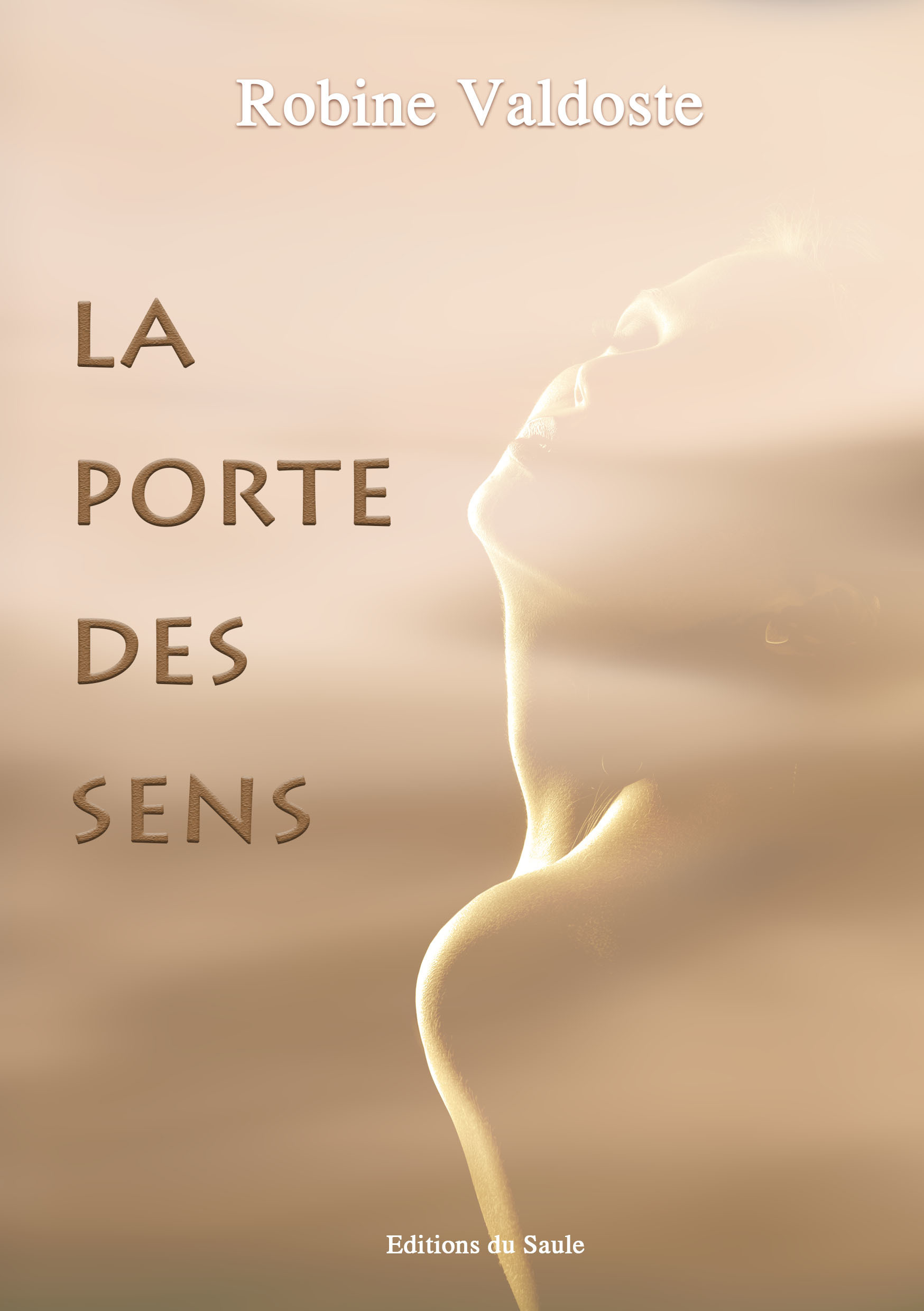 ebook cover of La porte des sens, by Valdoste Robine