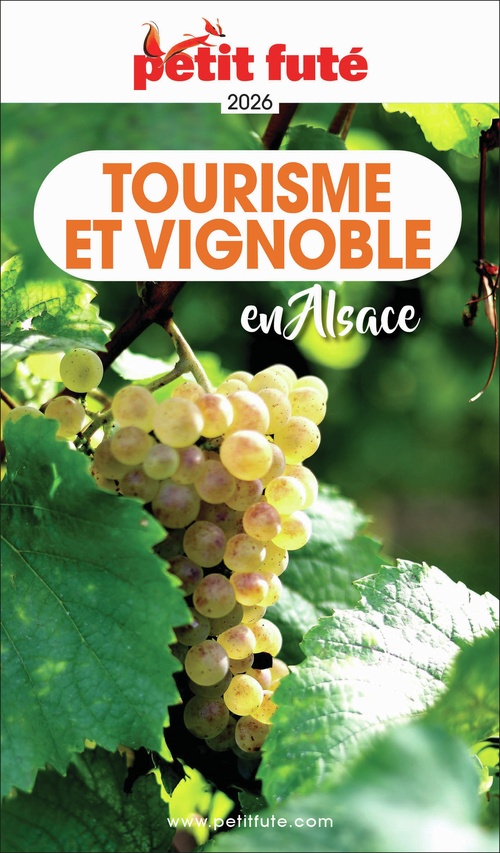 Couverture ebook de Guide Tourisme Et Vignoble En Alsace 2026/2027 Petit Futé, de Collectif