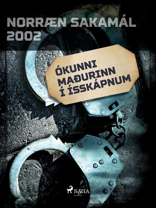 ebook cover of Ókunni maðurinn í ísskápnum , by Ymsir Hofundar