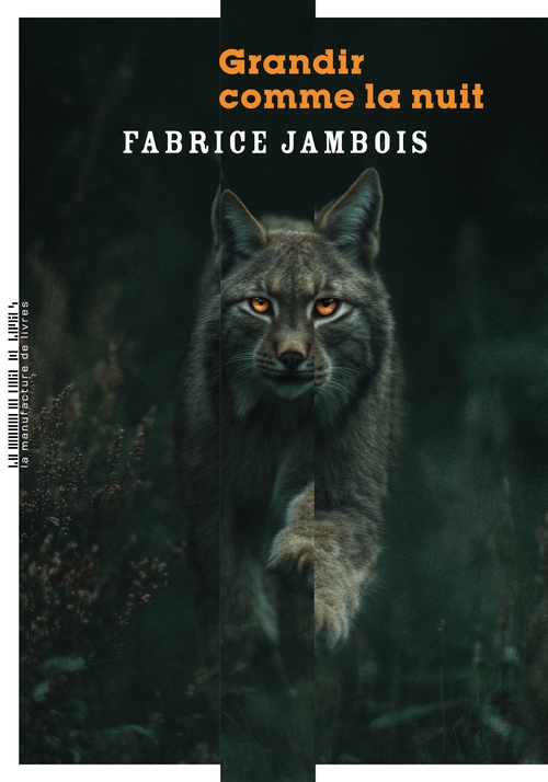 ebook cover of Grandir comme la nuit, by Fabrice Jambois