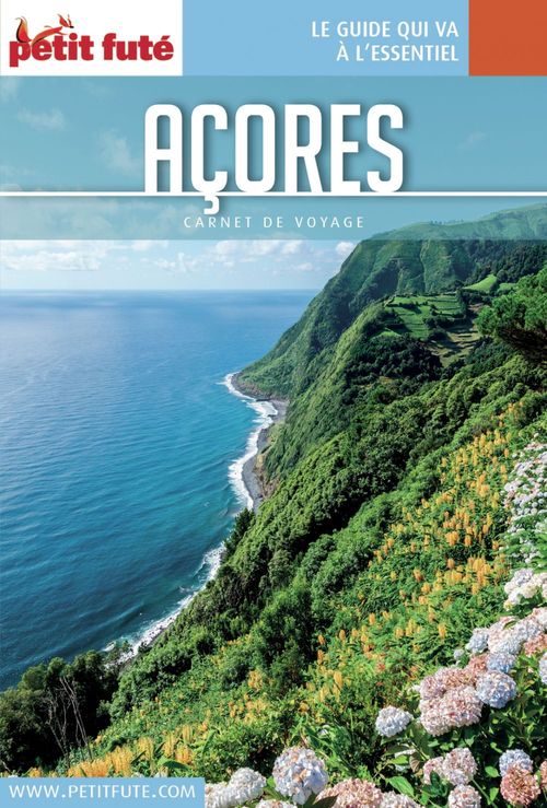 ebook cover of AÇORES 2017 Carnet Petit Futé, by Collectif petit futé