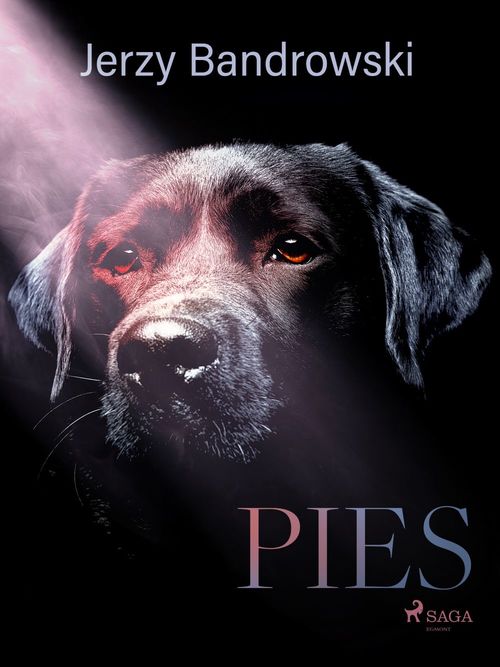 ebook cover of Pies, by Jerzy Bandrowski