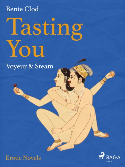 ebook cover of Tasting You: Voyeur & Steam, by Bente Clod