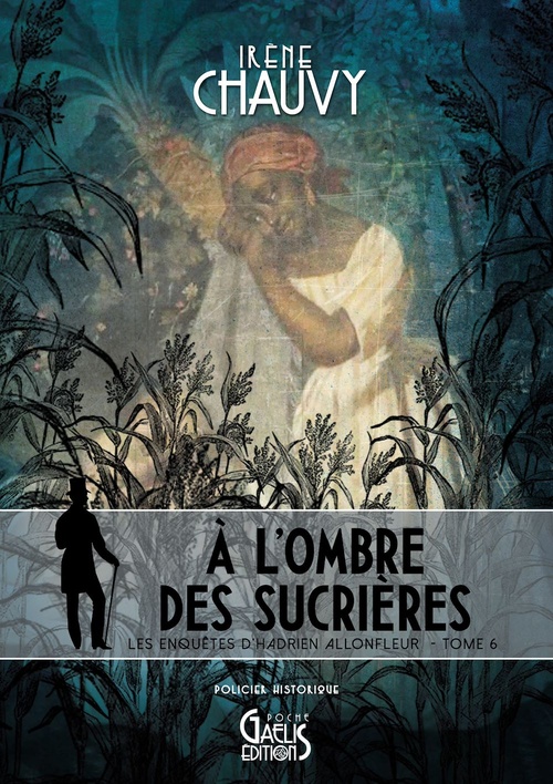 ebook cover of Les Enquêtes d'Hadrien Allonfleur sous le Second Empire - Tome 6, by Irène Chauvy