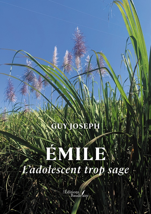 Couverture ebook de Émile, de Joseph Guy