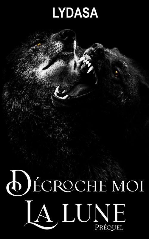 ebook cover of Décroche moi la lune, by Lydasa