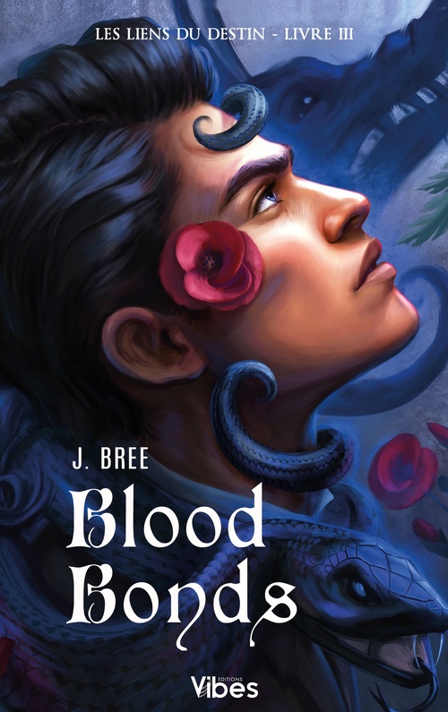 ebook cover of Les liens du destin T3, by J. Bree